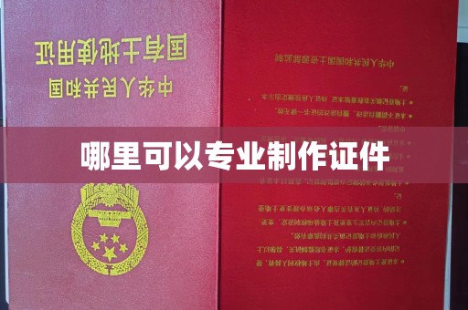 朴子哪里可以专业制作证件