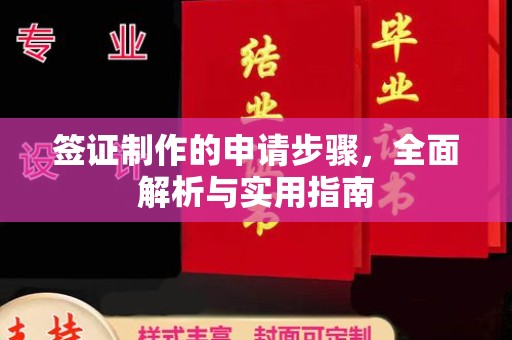 朴子签证制作的申请步骤，全面解析与实用指南