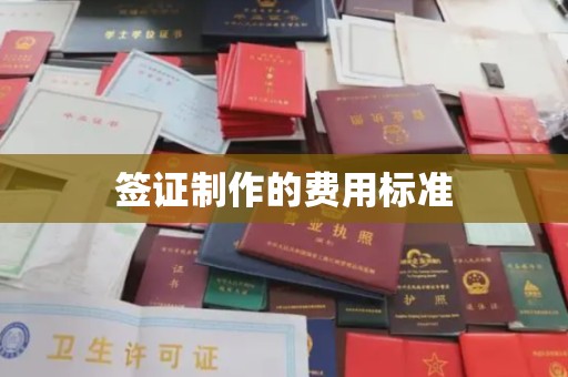 朴子签证制作的费用标准