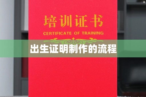 朴子出生证明制作的流程