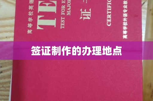 朴子签证制作的办理地点