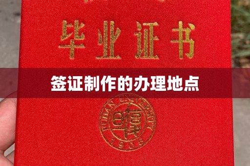 朴子签证制作的办理地点