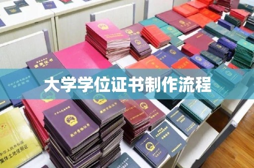 朴子大学学位证书制作流程