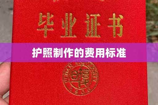 朴子护照制作的费用标准