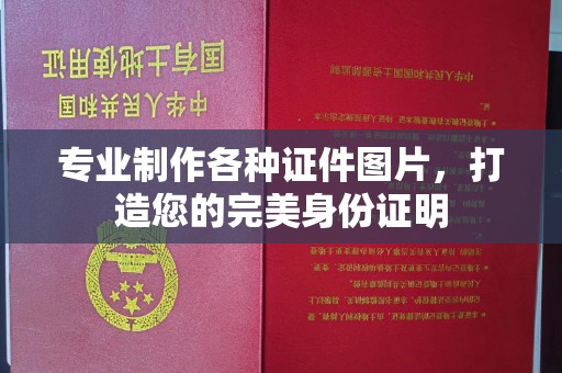朴子专业制作各种证件图片，打造您的完美身份证明