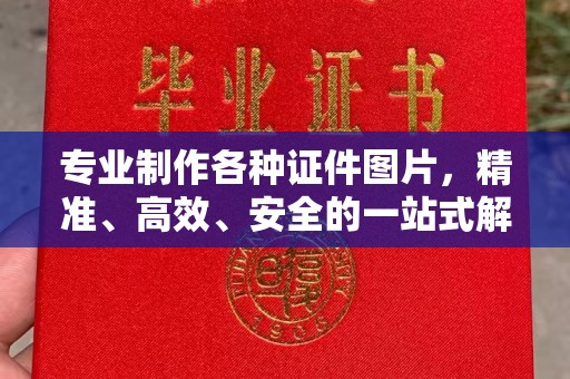 朴子专业制作各种证件图片，精准、高效、安全的一站式解决方案